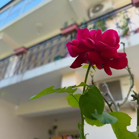 아파트 House In 티라나